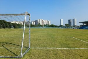 a picture of a green field with goal post