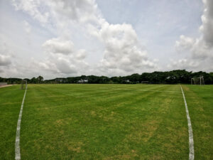 a picture of green field