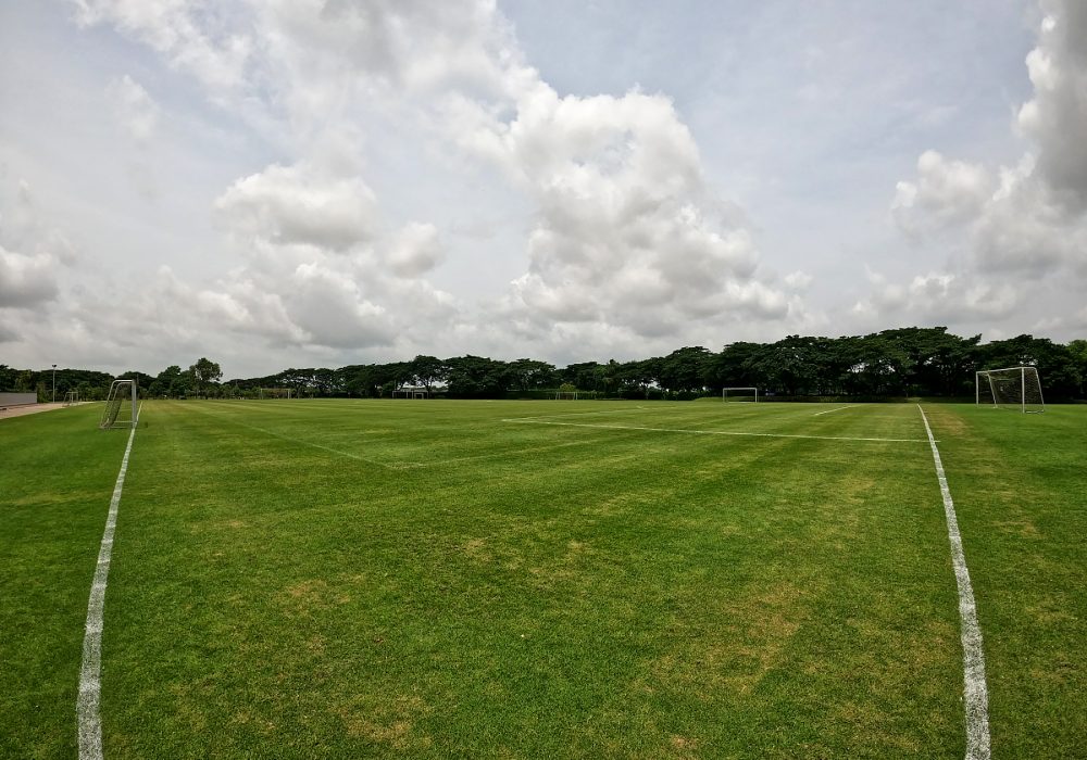 a picture of green field